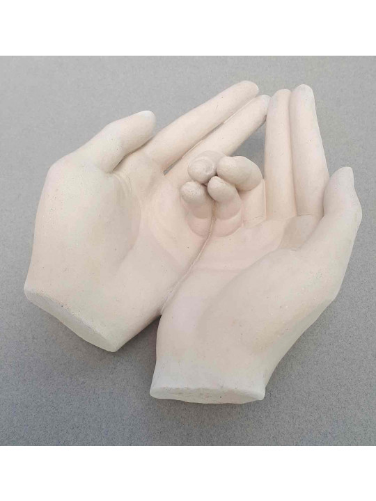 Mains Mudra