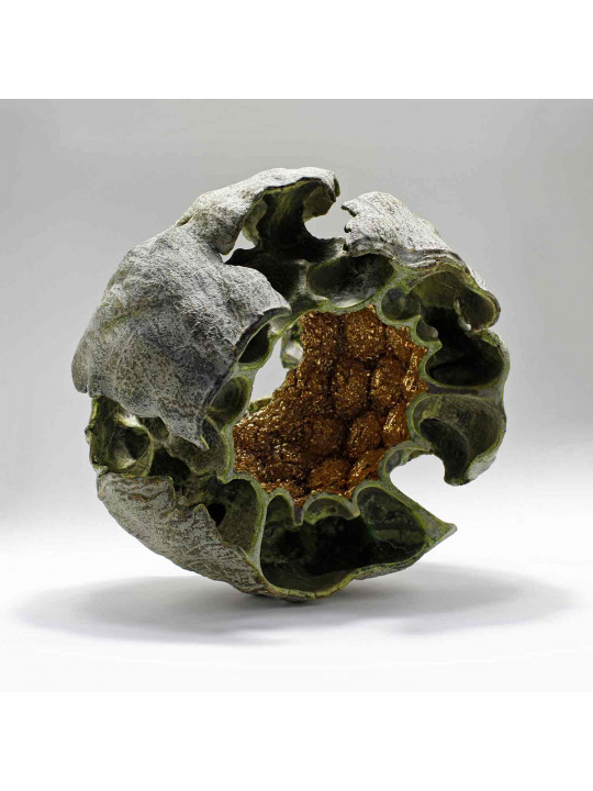 Shell#6