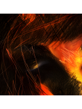 Chroma, Eclat d'âme jaune, edition - Artalistic online contemporary art buying and selling gallery