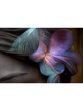 Chroma, Divines fragments, edition - Artalistic online contemporary art buying and selling gallery