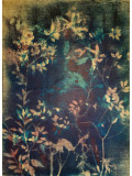 Stefano Mazzolini, RF5354, painting - Artalistic online contemporary art buying and selling gallery