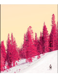 Téber, Cherry Winterscape, photo - Artalistic online contemporary art buying and selling gallery