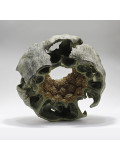Andrii Kyrychenko, Shell#6, sculpture - Artalistic online contemporary art buying and selling gallery