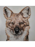 Lucile Maury, Dhole, drawing - Artalistic online contemporary art buying and selling gallery