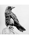 Corbeau large, Lucile Maury, drawing - Artalistic online contemporary art buying and selling gallery