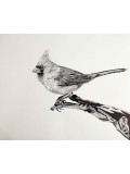 Lucile Maury, Cardinal, drawing - Artalistic online contemporary art buying and selling gallery