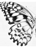 J.ATN, Renaissance, drawing - Artalistic online contemporary art buying and selling gallery
