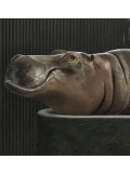 Mr Strange, Hippopotamus Bath, edition - Artalistic online contemporary art buying and selling gallery