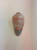 Louise de Gastines, Dos de baleine, sculpture - Artalistic online contemporary art buying and selling gallery