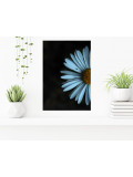 Laeticia Servant, Coupée la marguerite, photo - Artalistic online contemporary art buying and selling gallery
