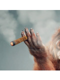Mr Strange, Miss greenberg Smoke a Cigar, edition - Artalistic online contemporary art buying and selling gallery
