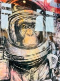 N.Nathan, Space Monkey, painting - Artalistic online contemporary art buying and selling gallery