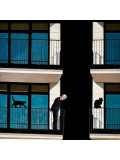 Mr Strange, Le vieil homme et ses chats, painting - Artalistic online contemporary art buying and selling gallery