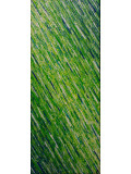 Jonathan Pradillon, texture, painting - Artalistic online gallery for sale and purchase of contemporary art