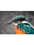 Asko Art, Kingfisher, painting - Artalistic online contemporary art buying and selling gallery