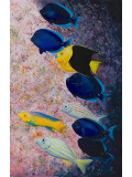 Patrick Chevailler, poissons chirurgiens, painting - Artalistic online contemporary art buying and selling gallery