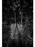 Jean-Guy Nakars, Pont suspendu, photo - Artalistic online contemporary art buying and selling gallery