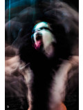 Sabine Stoye, La joie III, photo - Artalistic online contemporary art buying and selling gallery