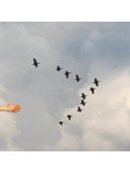 Mr Strange, The flight, edition - Artalistic online contemporary art buying and selling gallery