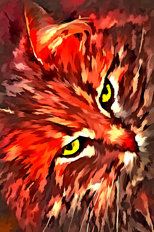FLAMING CAT 1