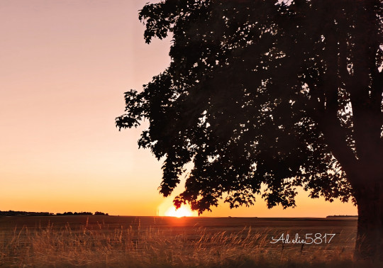 Coucher de soleil - Commeny (95)