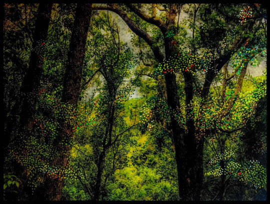 Dryad#1