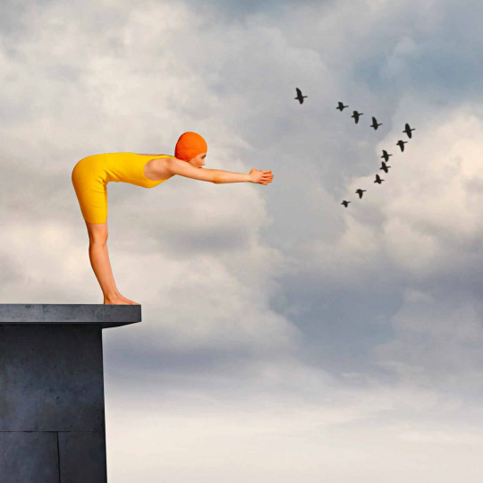 The Flight