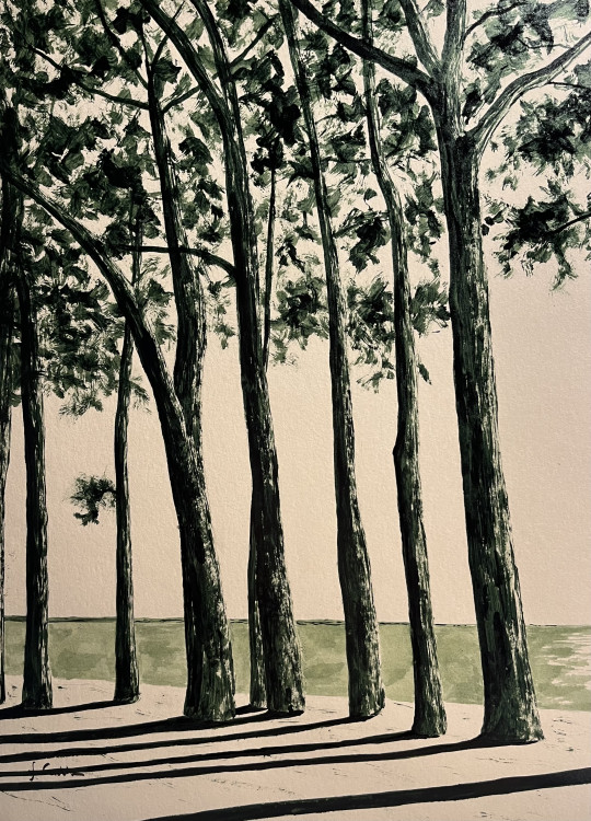 Avenue du Cap Coz