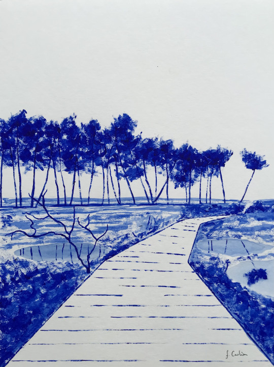 Les marais de Mousterlin