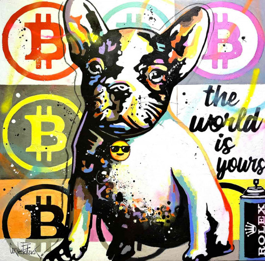 My French Bulldog loves Rolex and Bitcoins