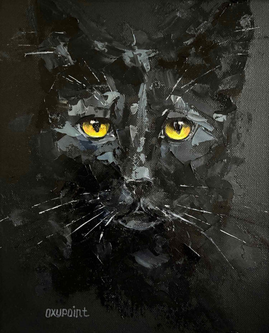Black cat on black