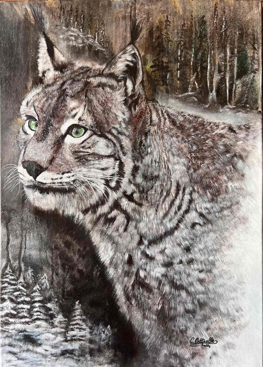 Le lynx, une présence rare