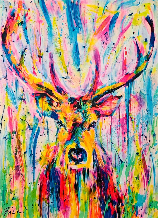 Reindeer