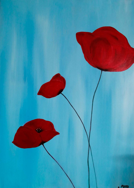 3 Poppies