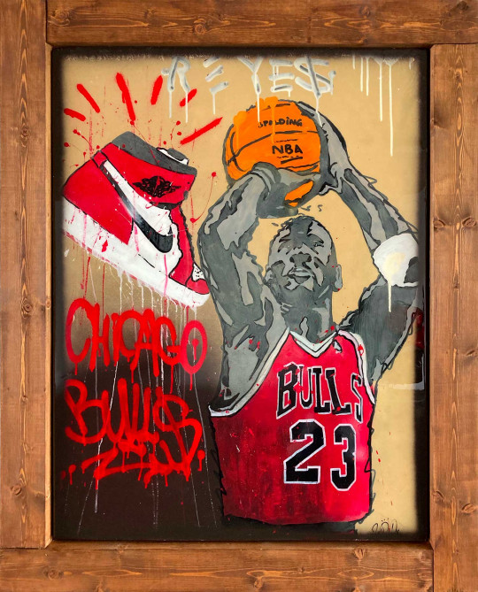 Chicago bulls