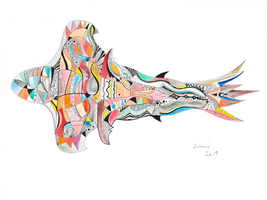 Piscis Pulcher Pinna