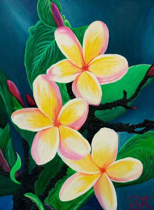 Fleurs de frangipanier
