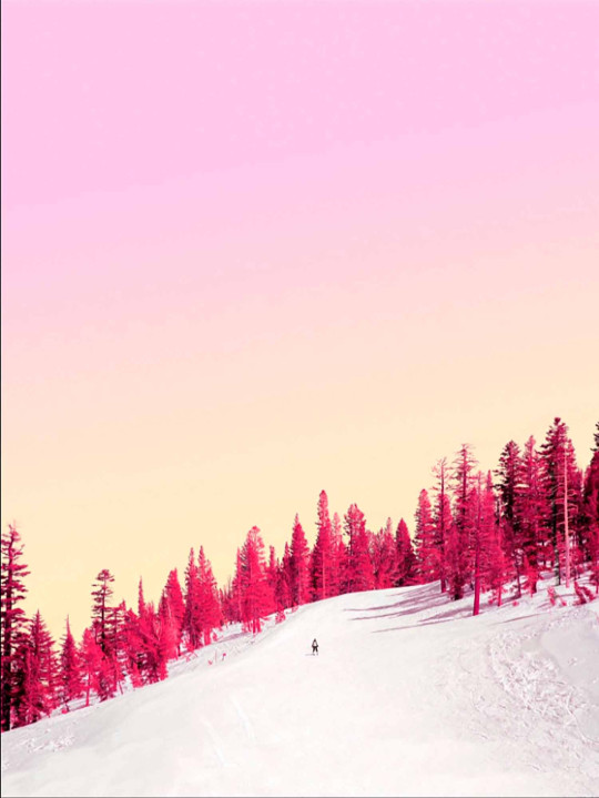 Cherry Winterscape