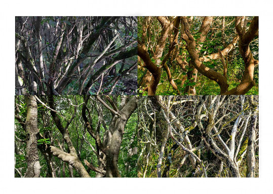 Paysages soudés 1/21