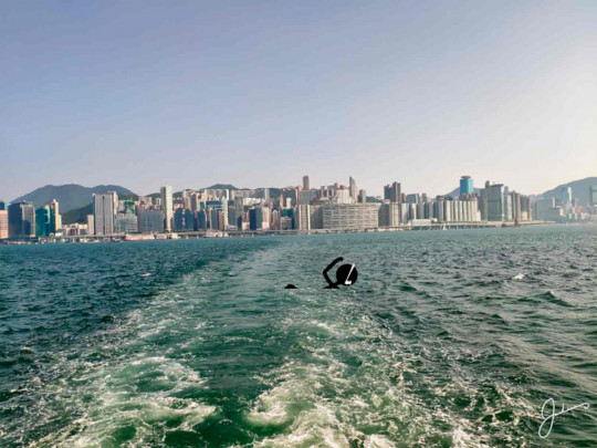 Échappée du Nageur Hongkongais