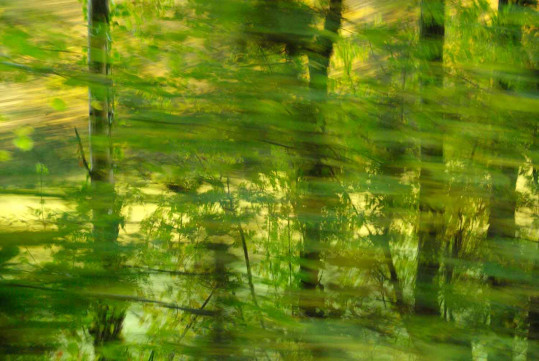 Photographie 12 (Prix du Public, Fondation René Pous)