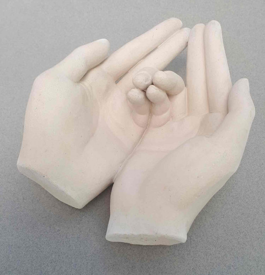Mains Mudra