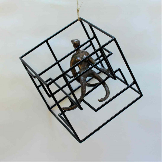 Cage (n° 295)