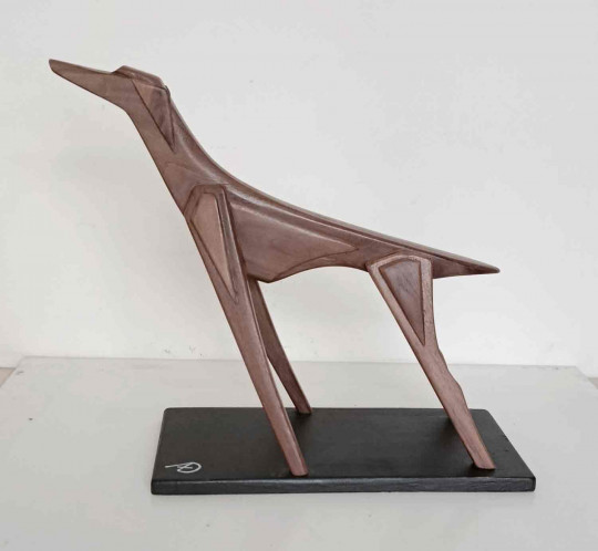 Geometric dog noce