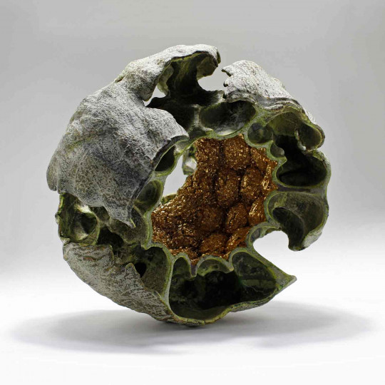Shell#6