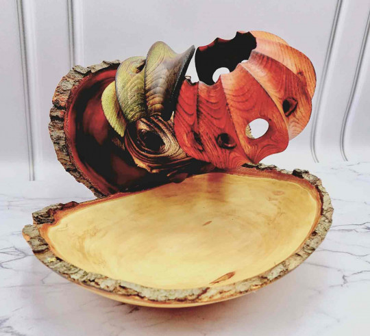 Space Shells