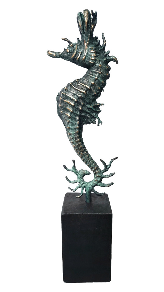 Hippocampe