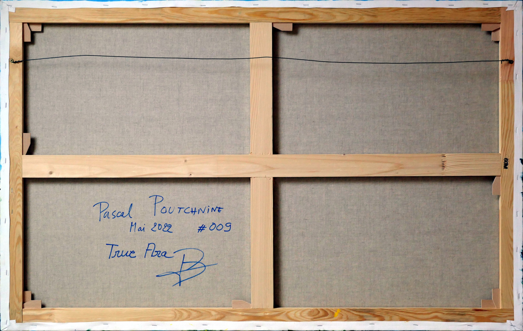 Pascal Poutchnine, True ara, peinture - Galerie de vente et d’achat d’art contemporain en ligne Artalistic