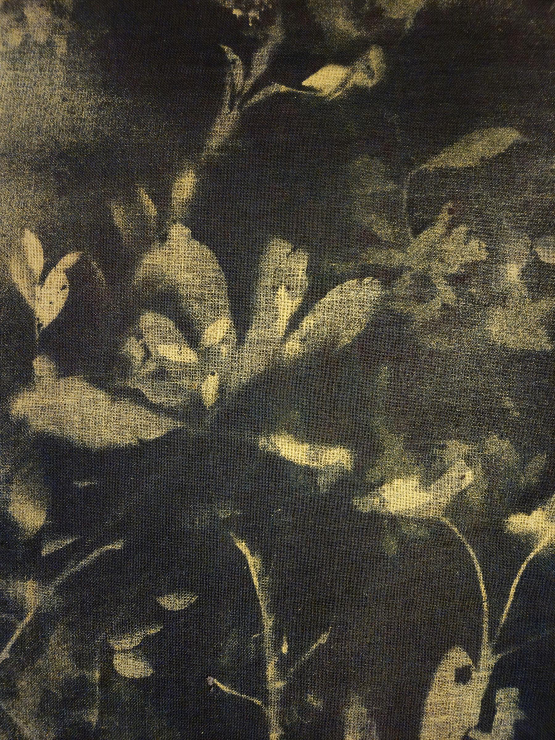 Stefano Mazzolini, RF5758, peinture - Galerie de vente et d’achat d’art contemporain en ligne Artalistic