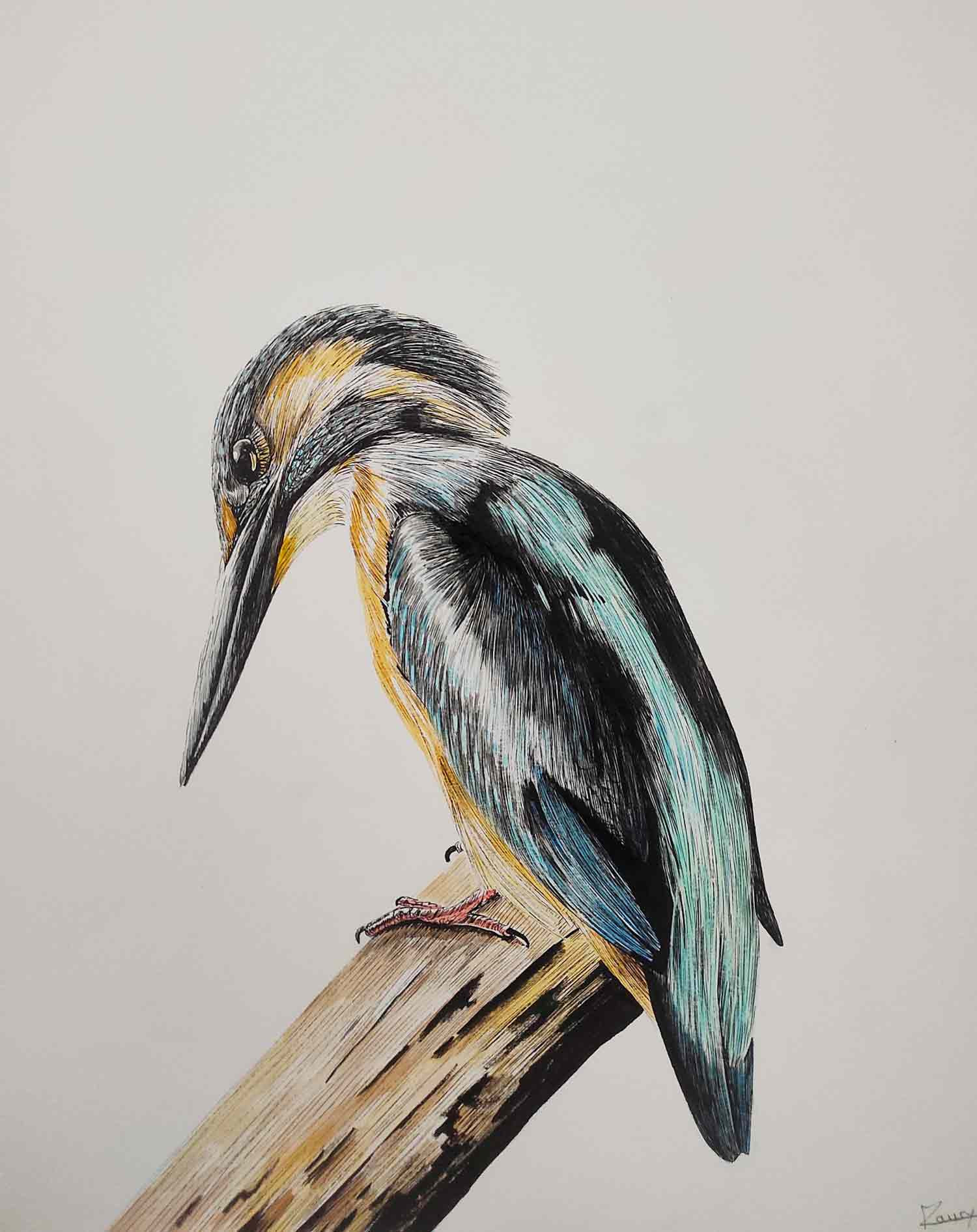 Lucile Maury, Martin-Pêcheur, dessin - Galerie de vente et d’achat d’art contemporain en ligne Artalistic